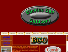 Tablet Screenshot of huntbgo.com